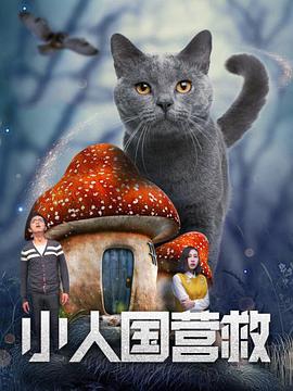 美女的诱人在线观看
