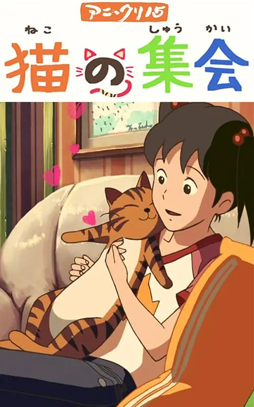 91精选视频