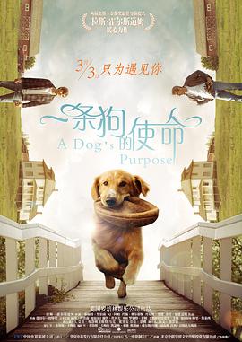 免费国产成人高清在线观看直播