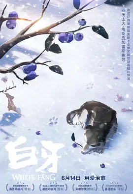 敦伦目邻