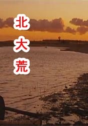 欧美老年人性生活