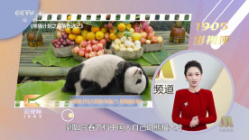 深夜福利你懂的